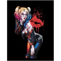 Affiches, posters Dc Comics 45 cm x 35 cm x 1,7 cm PM8493