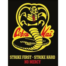 Affiches, posters Cobra Kai 40 cm x 30 cm PM8803