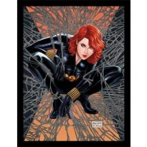 Affiches, posters Black Widow 40 cm x 30 cm PM8952