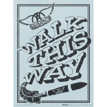 Affiches, posters Aerosmith 40 cm x 30 cm PM8996