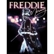 Affiches, posters Freddie Mercury 40 cm x 30 cm PM9004