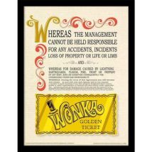 Affiches, posters Willy Wonka & The Chocolate Fact 40 cm x 30 cm PM9182