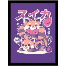 Affiches, posters Ilustrata 40 cm x 30 cm PM9595