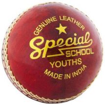 Ballons de sport Readers RD1428