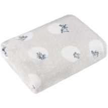 Couvertures Peter Rabbit 150 mm x 130 mm RV2911