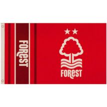 Accessoires Nottingham Forest Fc TA10310
