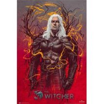 Affiches, posters The Witcher 61 cm x 91 cm TA8726