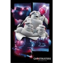 Affiches, posters Ghostbusters 61 cm x 91 cm TA9471