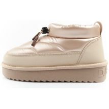 Bottines D.Franklin DFSH370016BEIG