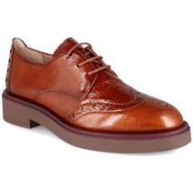 Derbies Hispanitas hi243519