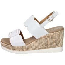 Sandales Studio Moda 51229-E5