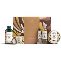 Hydratants & nourrissants The Body Shop Large Shea Estuche