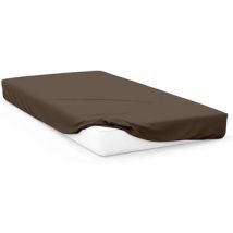 Draps housse Zzz -
