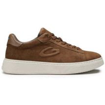Baskets basses Alberto Guardiani -