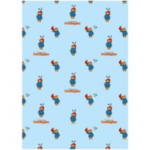 Couvertures Paddington Bear 150 cm x 100 cm TC696