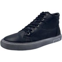 Baskets montantes Stexx -