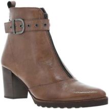 Bottines Dorking 23509CHAH25
