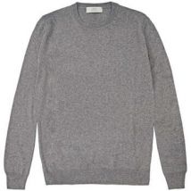 Pull Mauro Ottaviani -