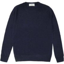 Pull Mauro Ottaviani -