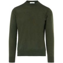 Pull Paolo Pecora -