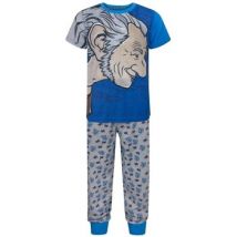 Ensembles de pyjama The Bfg 9-10 ans NS7566