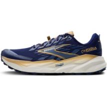 Chaussures Brooks Cascadia 19