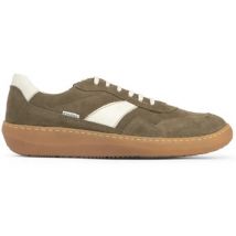 Baskets basses Saguy's -