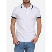 Polo Torrente 24148 Polo Rib