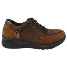 Baskets basses Adige CHAUSSURES INFINI SHADY