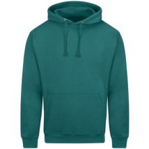 Sweatshirts à capuche Awdis College