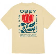 T-shirt Obey in bloom