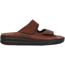 Mules Mephisto James