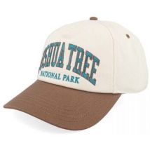 Casquette American Needle SMU769A-JTN ROSCOE - JOSHUA TREE NP-IVORY ESPRESSO