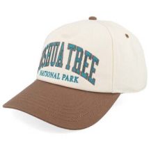 Casquette American Needle SMU769A-JTN ROSCOE - JOSHUA TREE NP-IVORY ESPRESSO