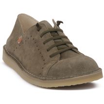 Derbies Jungla QUIBE OLIVA NUMA