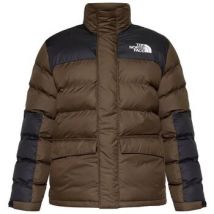 Doudounes The North Face NF0A89EG10I