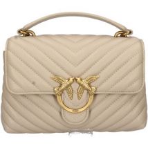Sac Bandouliere Pinko -