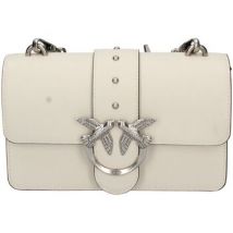 Sac Bandouliere Pinko -