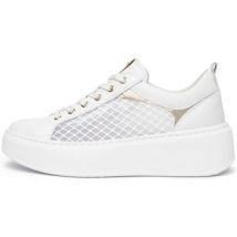 Baskets basses NeroGiardini Skipper T.Palladium Net Bian T.Brill Platino 6074