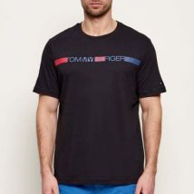 T-shirt Tommy Hilfiger Camisetas Hombre Modèle Mw0mw42368