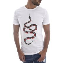 T-shirt Goldenim Paris T-S manches courtes--H-1452