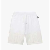 Short Gcds -