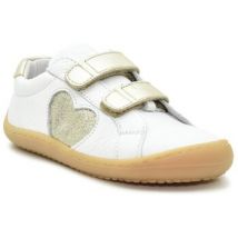 Baskets basses enfant benjie Montreux velcro Jeune enfant Blanc Or