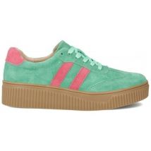 Baskets basses Filippo DP677626GEFH