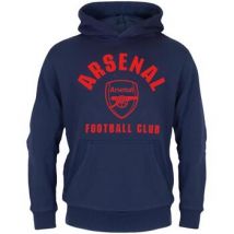 Sweatshirts à capuche Arsenal Fc GF510