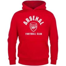Sweatshirts à capuche Arsenal Fc GF510