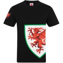 T-shirt Fa Wales GF632