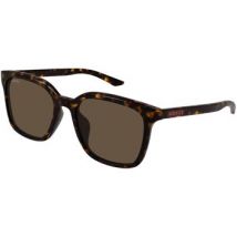 Lunettes de soleil Gucci GG2080SK Lunettes de soleil, Havana/Marron, 55 mm