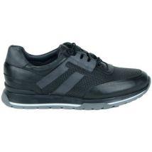 Baskets basses deckard Sneakers / Sport--H-2KY1010-Black