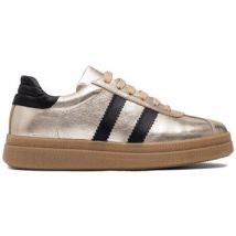 Baskets basses Boccato 05071317GOLD